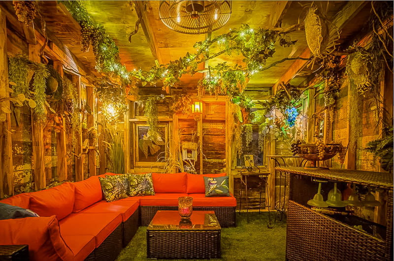 Cozy interior living space with lots of plants