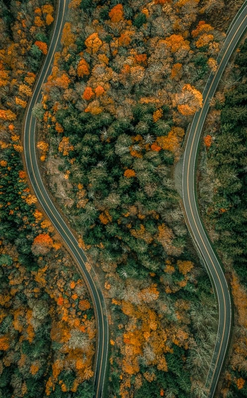 The Blue Ridge Parkway