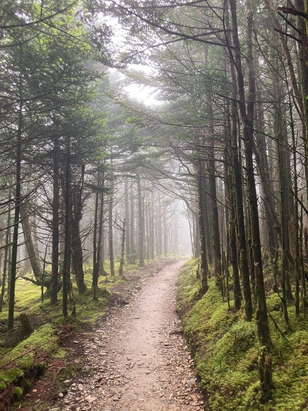 Hiking through the heart of Alum Cave Bluffs, one of the most beautiful places in the Smoky Mountains