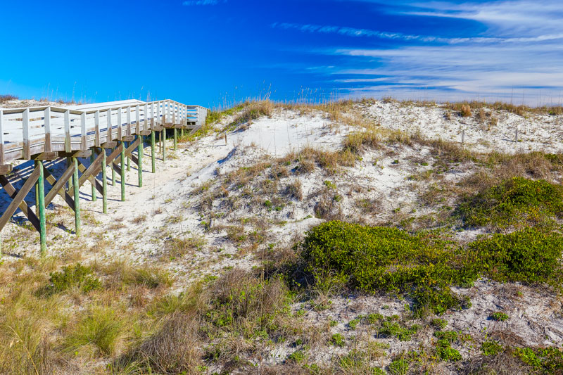 Exploring Anastasia State Park, is one of the best things to do in St. Augustine, FL.