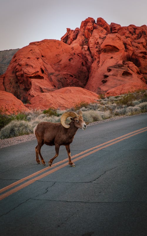 Having your camera on you at all times is one of the best travel photography tips