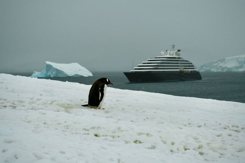 A penguin stands on the snow, with a ship sailing in the Antarctic ocean in the background.
