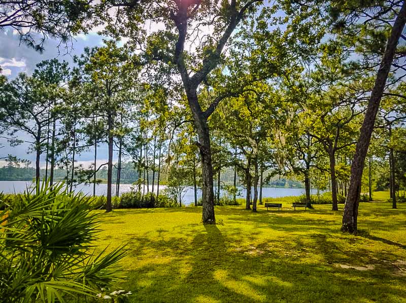 As far as national forests go, this one is on the quiet side. It's easily one of the best hidden gems in Florida