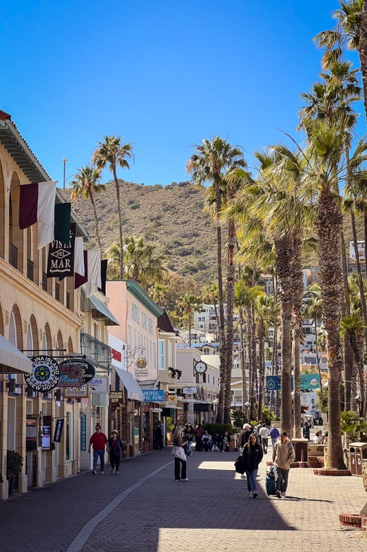 The town of Avalon on Catalina Island