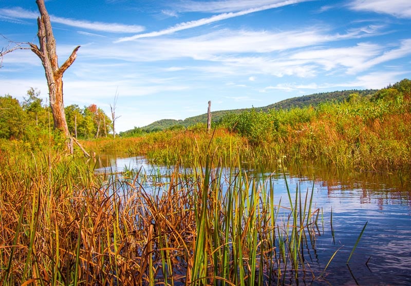 Compared to most of the other destinations on this list, the Berkshires is among the cheap weekend getaways on the east coast.