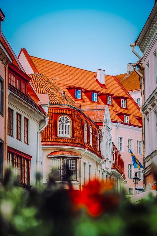Tallinn has such a vibrant personality