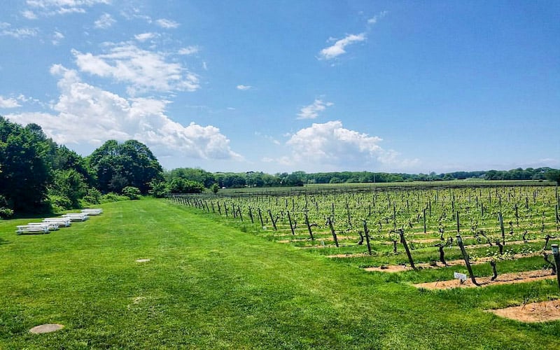 North Fork Wineries is Long Island's charming vineyards offering scenic beauty and exquisite local wines.