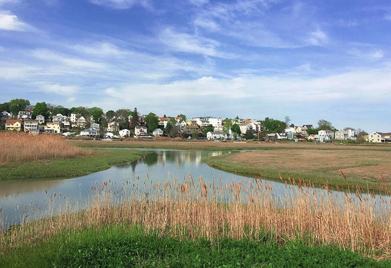 Belle Isle Marsh Reservation serene wetland sanctuary for birdwatching and nature enthusiasts