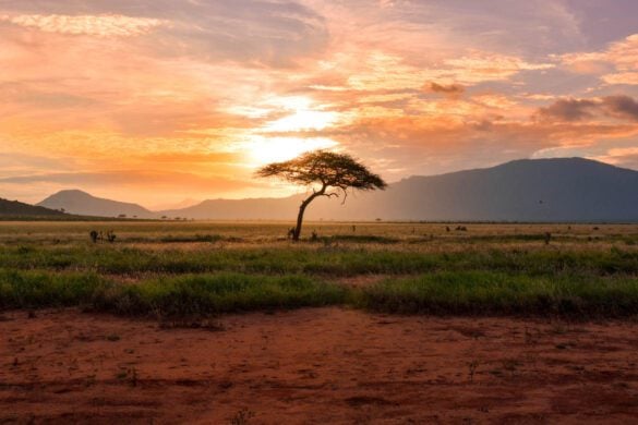 10 BEST Places to Live in Africa with High Living Standards