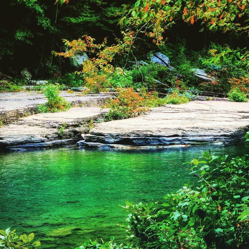 Discover hidden treasures of nature at Big Soddy Creek Gulf Trail, one of the most beautiful places in Tennessee
