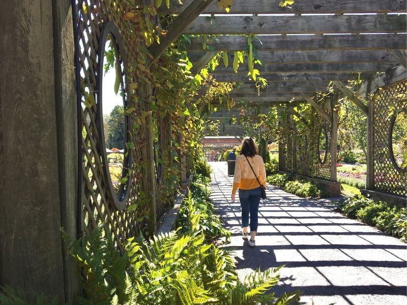 Strolling through Biltmore Village is akin to a delightful daydream.