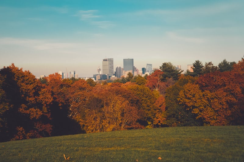 A combination of metropolitan conveniences and suburban peace may be found in Brookline Town.