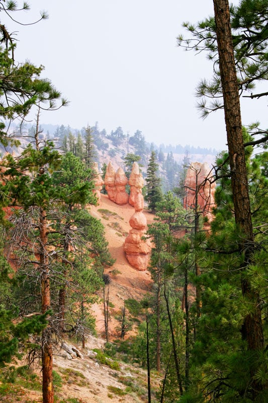 Bryce Canyon's striking colors and iconic hoodoos make it a magical stop on your Southwest USA road trip.