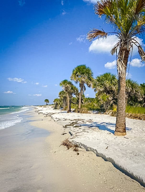 Caladesi Island is a secluded tropical oasis in Florida. It deserves a spot among the best hidden gems in Florida.