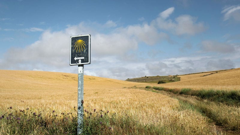 Walking the Camino de Santiago offers a life-changing journey, with routes suited to various fitness levels.