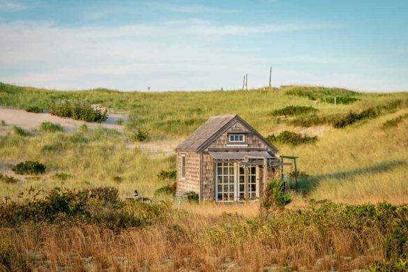 Cape Cod in the Fall Featured Image