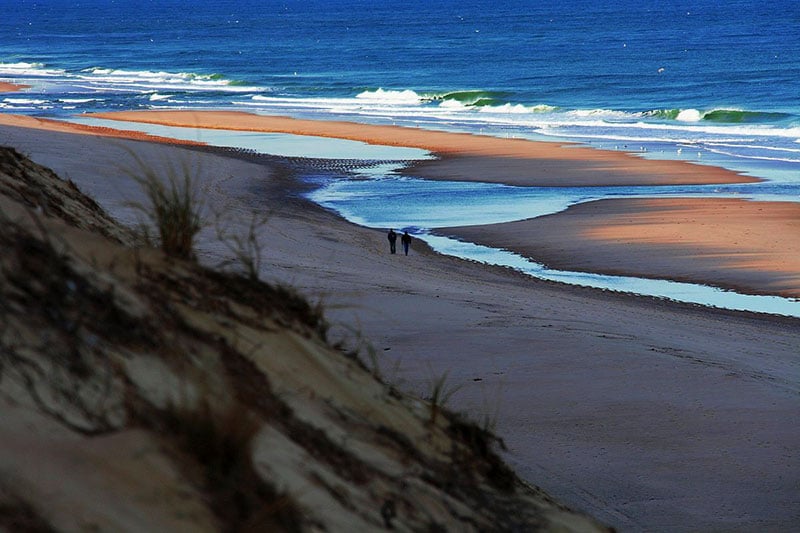 Cape Cod National Seashore pristine beaches, dunes, and natural coastal wonder




