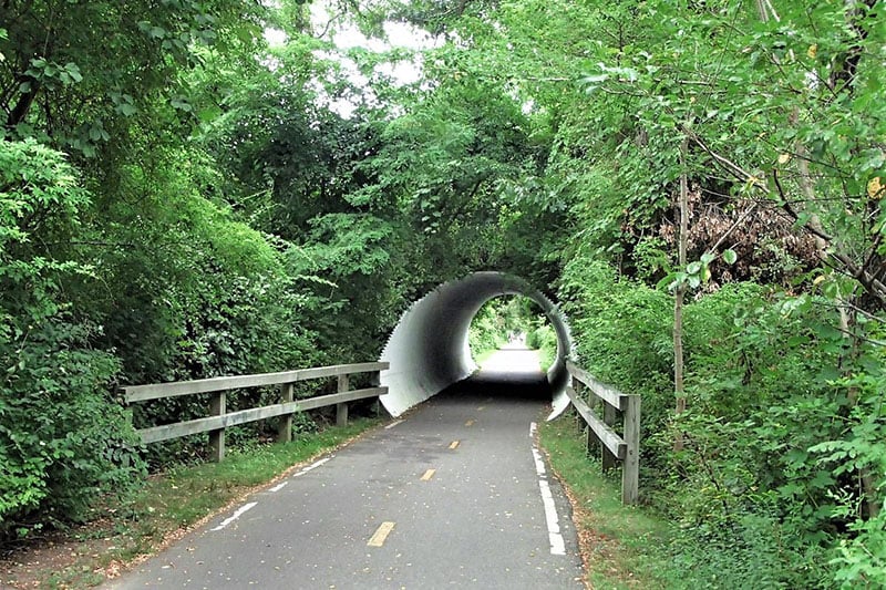 Cape Cod Rail Trail, biking through scenic landscapes and coastal charm




