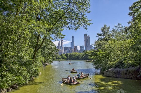Central Park in New York City 