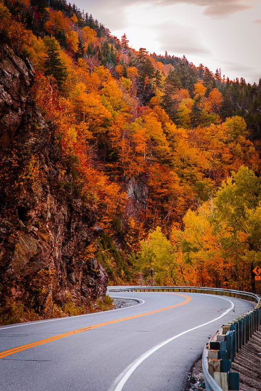 Road along the Green Mountains in New England