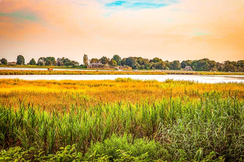 Beautiful sunset over marsh with tall grass and trees in Connecticut Coast Scenic Drive