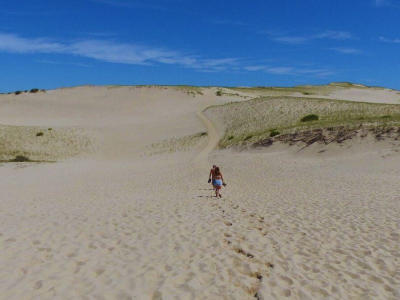 The unique and preserved coastal environment that Dune Shacks offers makes it one of the essential place to visit.