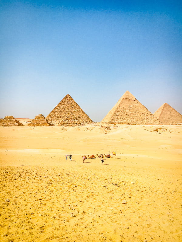 The Egyptian pyramids with camels in the foreground