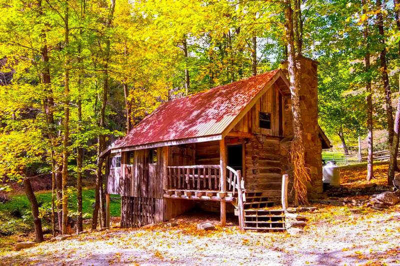 This rustic cabin is surrounded by vibrant autumn colors, making it one of the best fall foliage Airbnbs in the US for a peaceful nature retreat