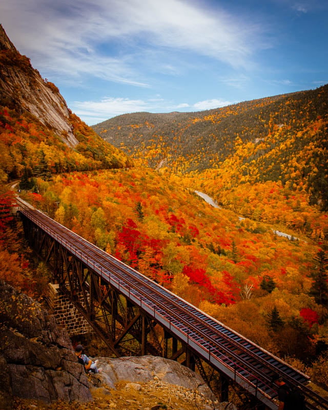 Fall foliage in New England makes me feel fully alive