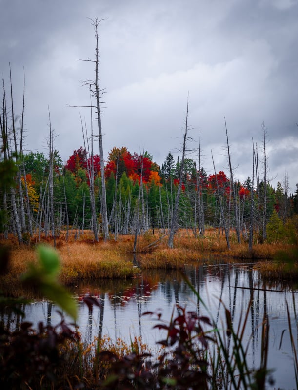 New England autumn awaits you
