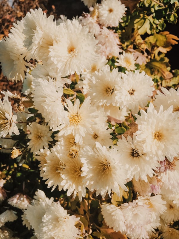 Sending flowers to someone else is worthwhile to have on a life bucket list