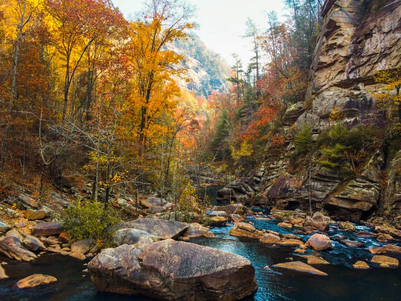 Spectacular foliage near Helen, Georgia