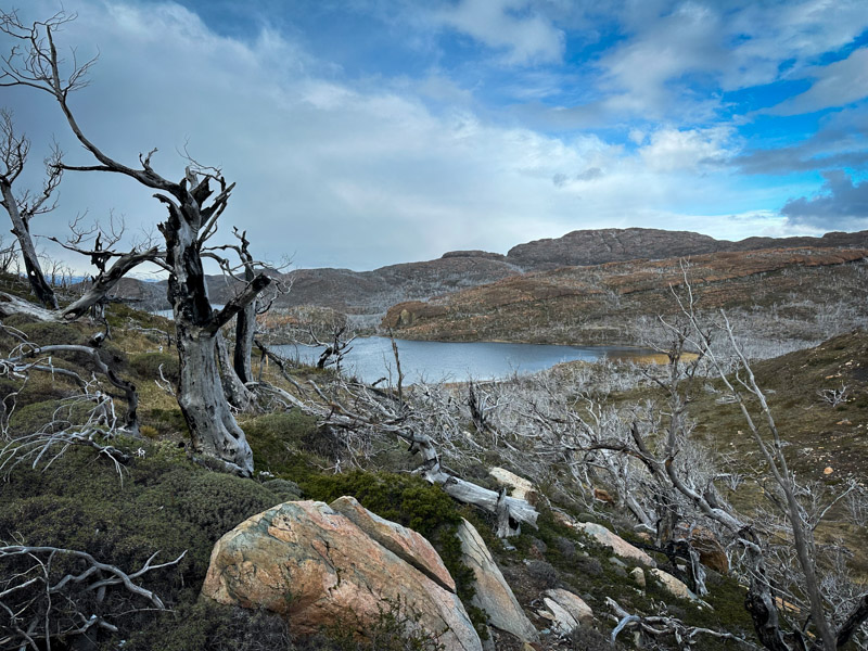 The aftermath of the 2011 wildfire in Torres del Paine