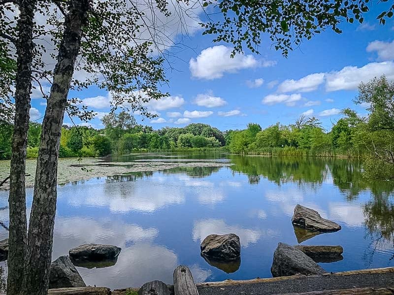 This reservation in Cambridge is popular for hiking, jogging, and bike riding.