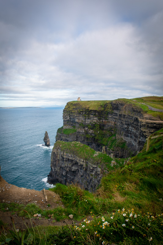 These sea cliffs are home to many bird species, including puffins.