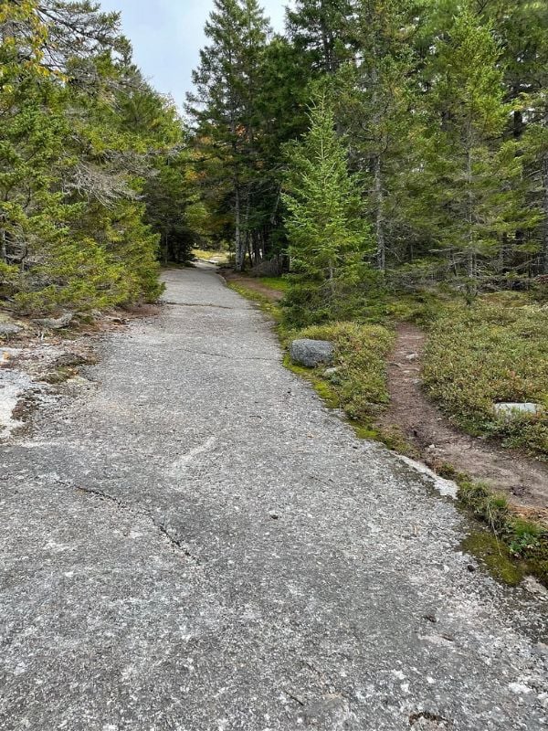 Great Pond Mountain Wildlands provides a tranquil sanctuary with its extensive untouched wilderness, offering a perfect escape for nature enthusiasts.