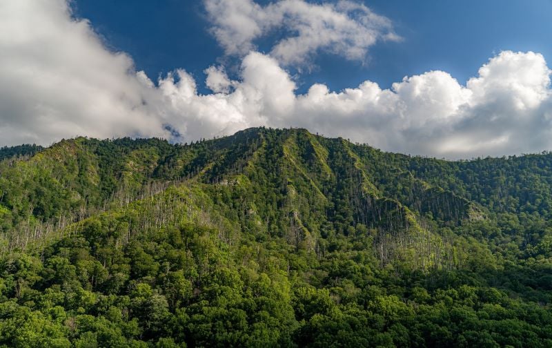 Discover the Beauty of Great Smoky Mountains National Park, one of the most unique places in Southeast USA