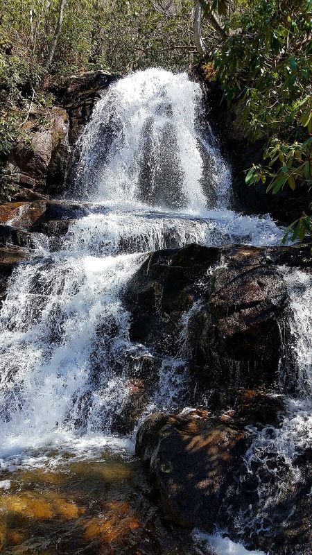 Escape to the tranquil beauty of Great Smoky Mountains National Park, where nature's wonders await