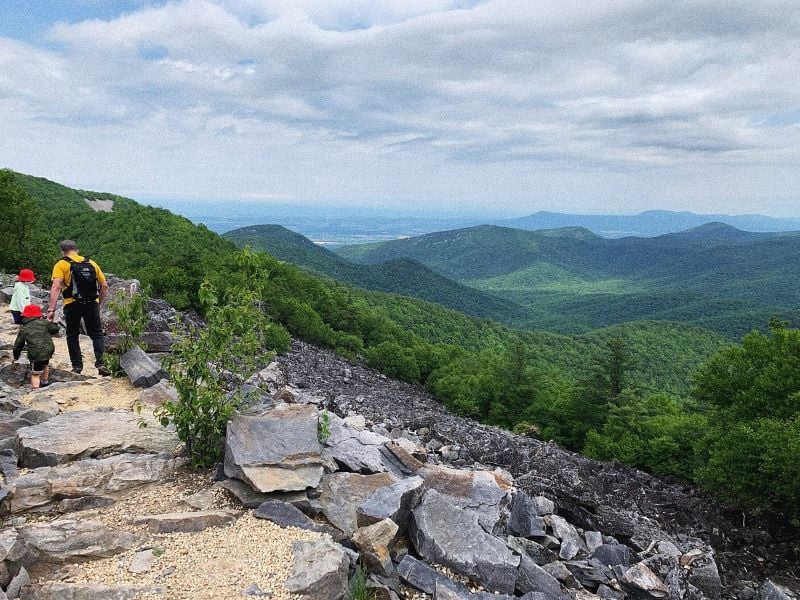 A scenic view from Hazel Mountain Overlook showcasing a breathtaking panorama of nature's wonders