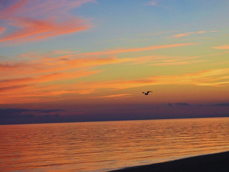 Herring Cove Beach