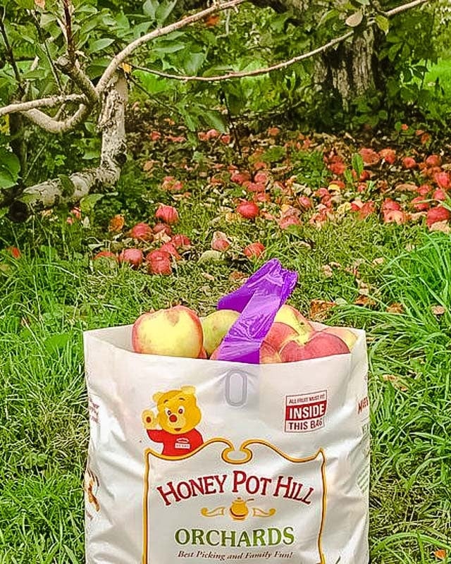 Honey Pot Hill Orchards in Stow, Massachusetts.