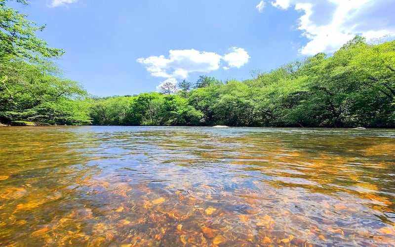 Horseshoe Bend Park is a name that hints at a scenic curve in a river, perhaps with sweeping views and natural beauty.
