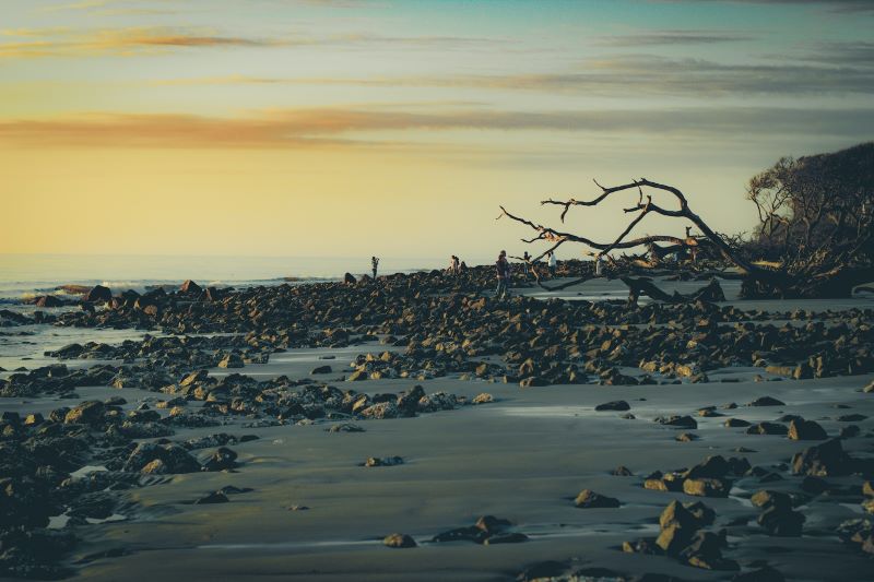 A serene beach scene on Jekyll Island with gentle waves and golden sands