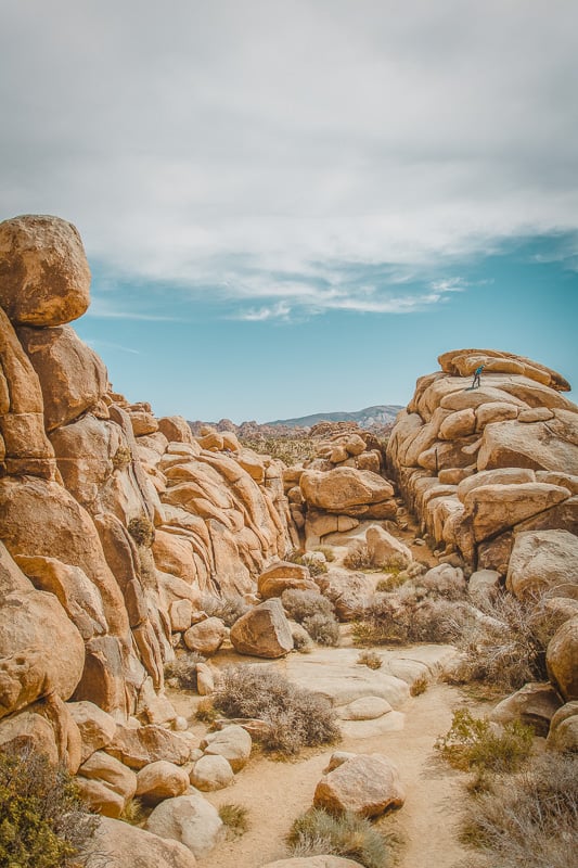 Unique rock formations in Joshua Tree.