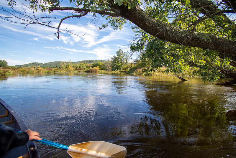 Nothing beats kayaking in the middle of nature.