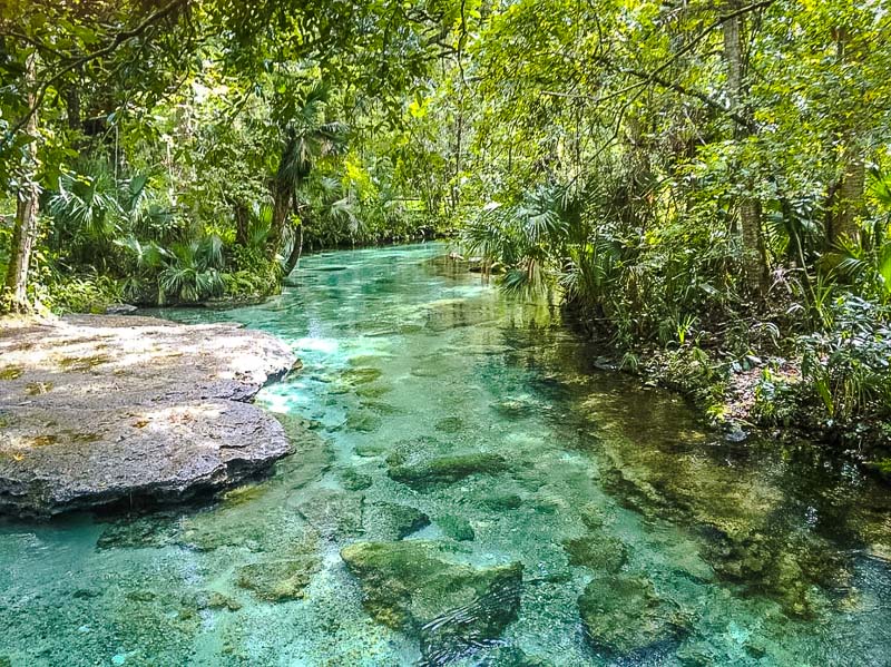 Kelly Rock Springs is definitely one of Florida's best hidden gems.
