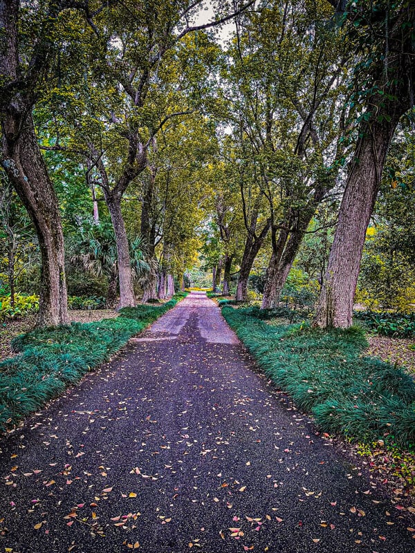 Leu Gardens is a 50-acre botanical paradise, lush with tropical plants, roses, and azaleas.