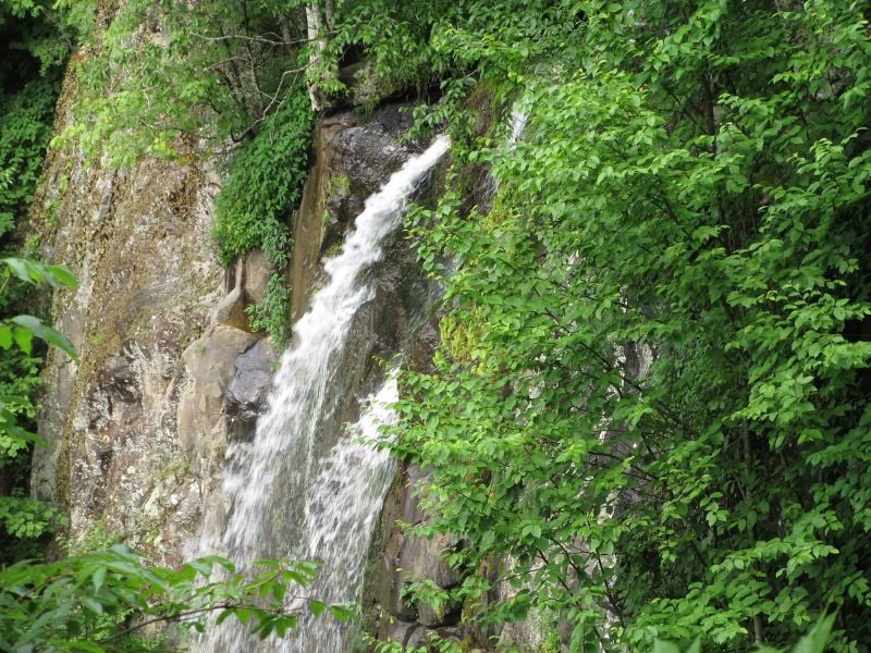 A tranquil scene of Lewis Spring Falls, where the water gracefully descends against a backdrop of pristine landscapes