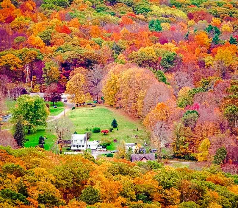Litchfield Hills fall foliage.