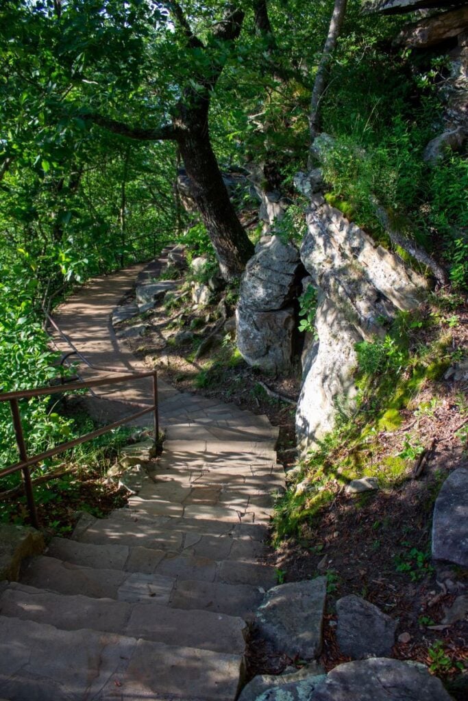 A staircase surrounded by dense jungle vegetation, leading up the majestic Lookout Mountain